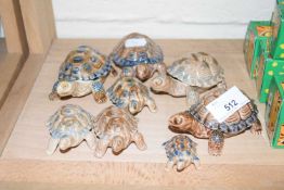 COLLECTION OF WADE TORTOISES