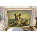 STUDY OF AN ALSATIAN DOG, INDISTINCTLY SIGNED, POSSIBLY COLLIER, OIL ON CANVAS, FRAMED