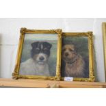 PAIR OF SMALL OIL ON BOARD STUDIES OF TERRIERS TOGETHER WITH A TOM TURNER STUDY OF A BOATHOUSE