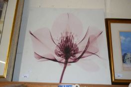 FLORAL PHOTOGRAPHIC PRINT ON CANVAS