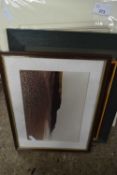 VARIOUS FRAMED PICTURES