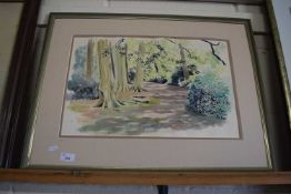 20TH CENTURY SCHOOL STUDY OF A WOODLAND PATH, WATERCOLOUR, INDISTINCTLY SIGNED, FRAMED, 69CM WIDE