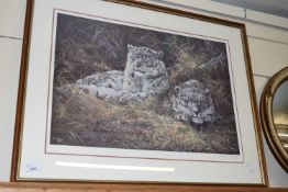 DOROTHY HYDE, STUDY OF SNOW LEOPARDS, COLOURED PRINT, F/G