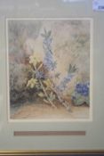 George Fitt and Daphne Mezereon, Yellow jasmine and viola, watercolour, inscribed beneath, 21 x