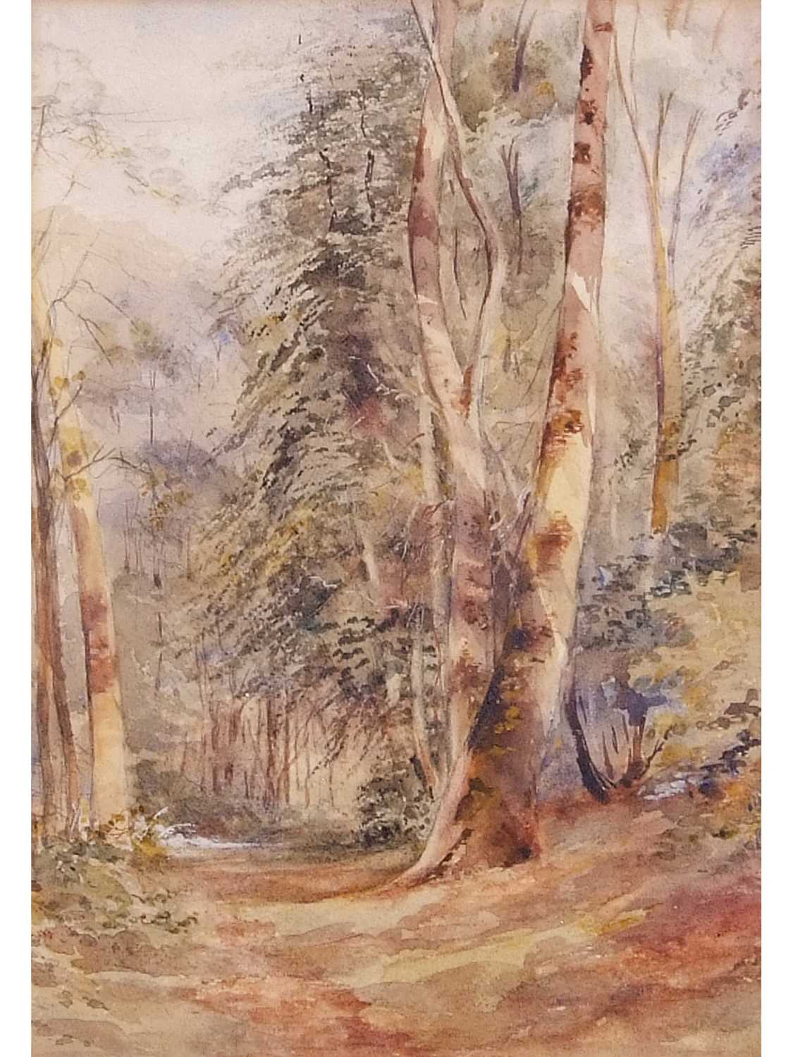 John Middleton (British, 1827-1856), Woodland, Banningham, pencil, watercolour, unsigned, framed and