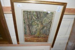 Unsigned watercolour, Woodland scene, labelled verso "Beaulieu 1927 P H Pimlott", 39 x 29cm