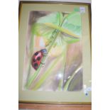 British, Contemporary, a study of a ladybird beetle, pastel on paper, signed 'BD' bottom right.