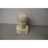 REPRODUCTION PHRENOLOGY POTTERY HEAD BY L N FOWLER