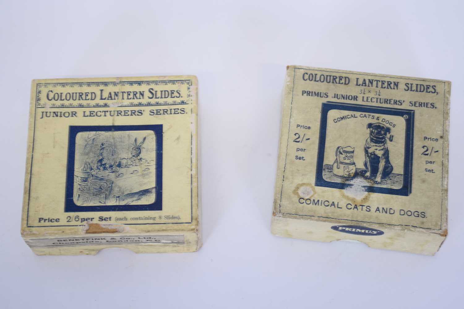 Two boxes of magic lantern slides featuring comical cats and dogs