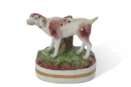 Derby Model of Dog