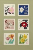 A Set of Twelve Japanese Floral Prints of Various Exotic Flowers, Including Plum Blossom, Peony,