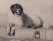 Two engravings after Sir Edwin Henry Landseer (British, 1802-1873), 'A Distinguished Member of the