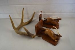 PAIR OF HARDWOOD BOOKENDS WITH ANTELOPE DECORATION TOGETHER WITH AN ANTLER (3)