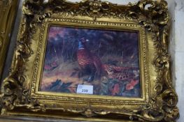 REPRODUCTION VIENNA PORCELAIN PANEL DECORATED WITH A PHEASANT SET IN A HEAVY GILT FRAME