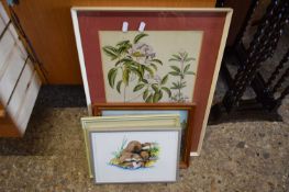 MIXED LOT FOUR ASSORTED PICTURES TO INCLUDE BOTANICAL PRINTS