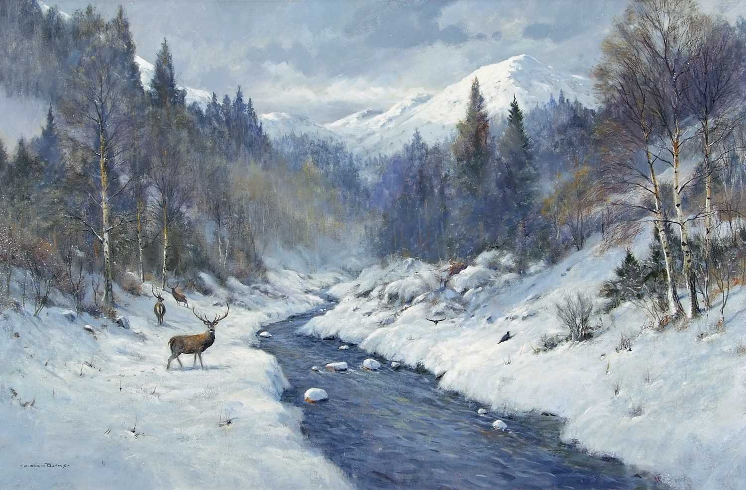 Colin W Burns (British, b.1944), Stags in Glen Affric, oil on canvas, signed. 24x36ins.