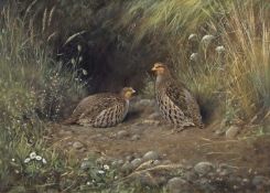 Colin W Burns (British, b.1944), Grey Partridge, oil on canvas, signed. 15x21ins.Qty: 1