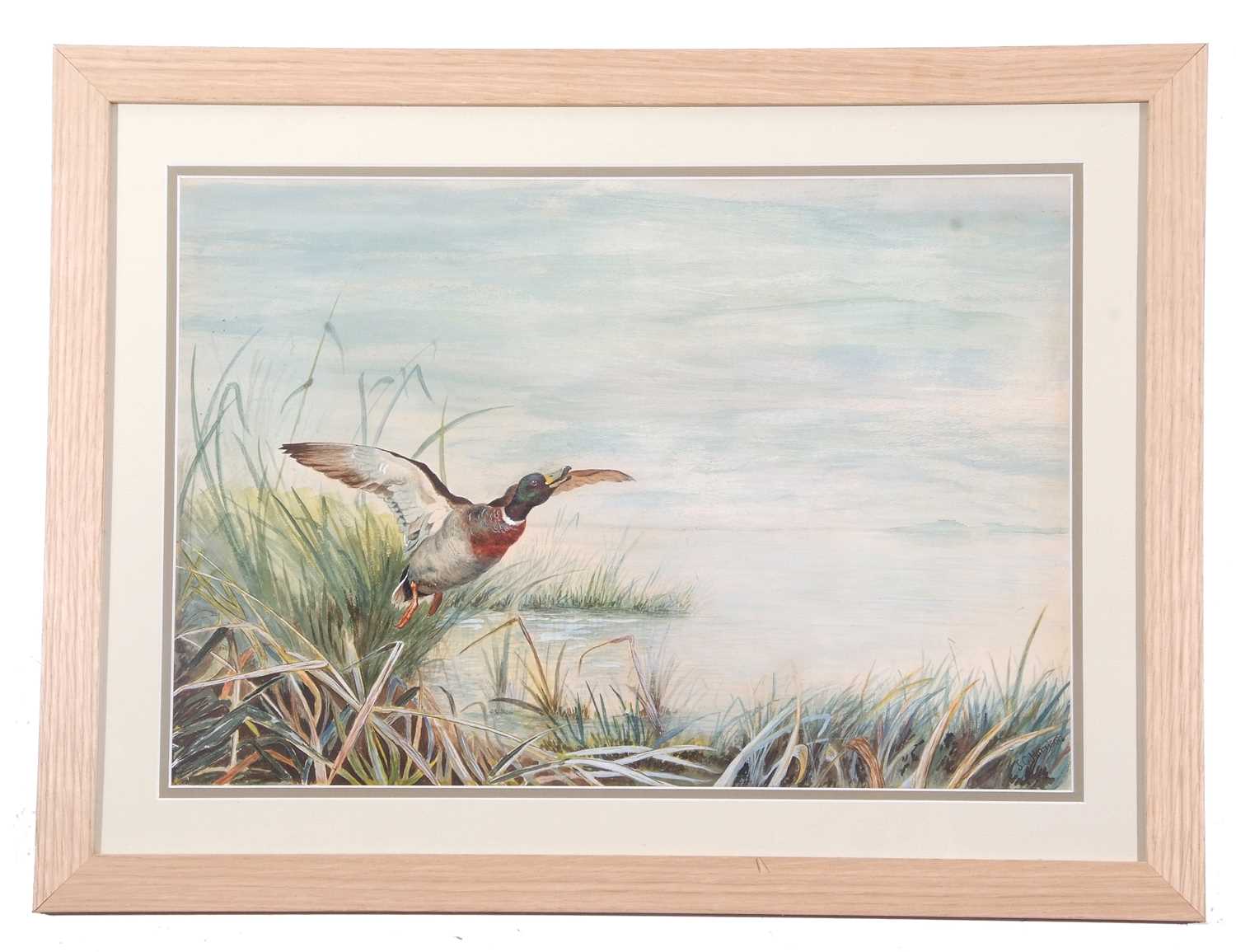 John Cyril Harrison (British, 1898-1985) A duck in-flight above reeds and riverbank, watercolour, - Image 2 of 2