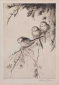 Roland Green (British, 1896-1976) three long-tailed tits perched on a branch, engraving on paper,