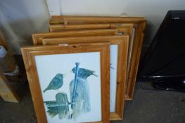 FIVE IDENTICAL PINE FRAMED PRINTS OF STARLINGS TOGETHER WITH FOUR IDENTICAL PINE FRAMED PRINTS OF