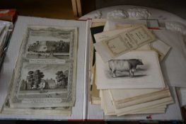 FOLDER CONTAINING VARIOUS BOOK PLATES, BLACK AND WHITE PHOTOGRAPHS AND OTHER EPHEMERA