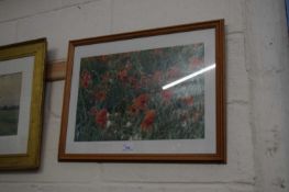 PHOTOGRAPHIC PRINT - POPPIES, F/G