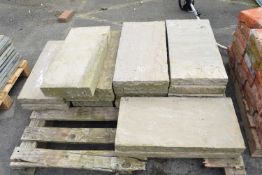 Quantity of stone pavers, approx 60cm x 30cm