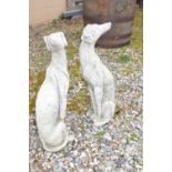Pair of small composite seated whippets, approx 56cm high