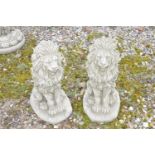 Pair of small composite seated lions, approx 40cm high