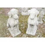 Pair of composite seated hounds, approx 72cm high
