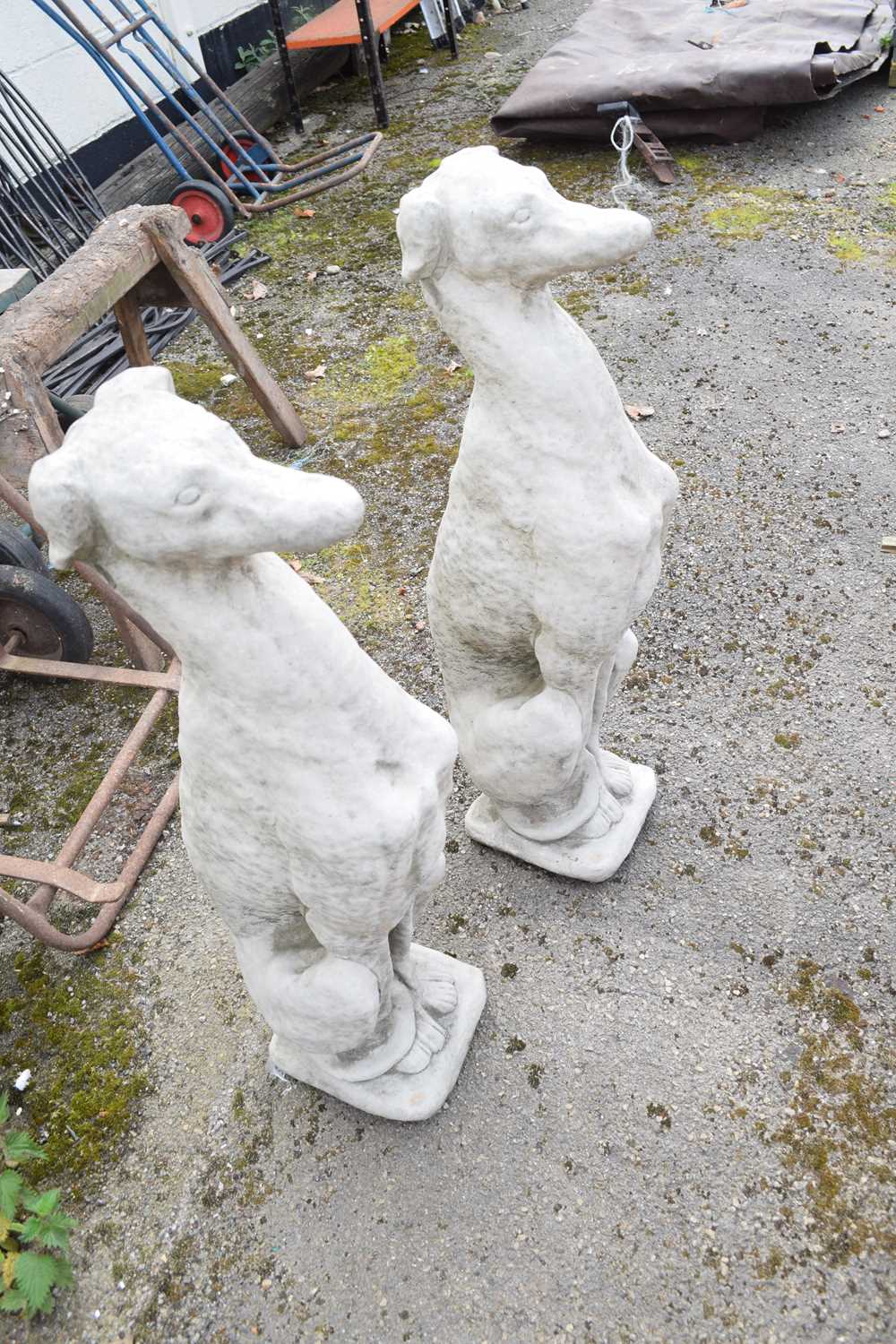 Pair of composite seated whippets, height approx 75cm - Image 2 of 2