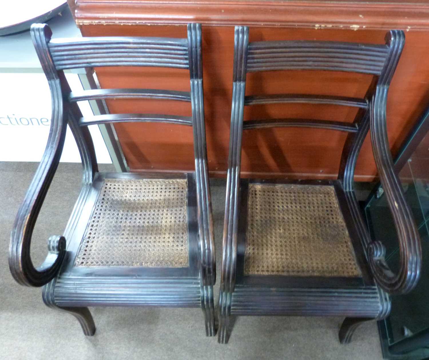 Pair of Georgian mahogany scroll arm chairs with cane seats and sabre type front legs decorated - Image 3 of 4