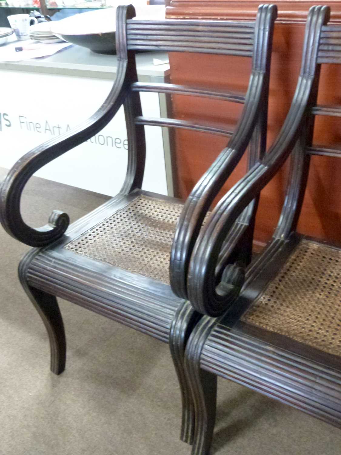 Pair of Georgian mahogany scroll arm chairs with cane seats and sabre type front legs decorated - Image 2 of 4