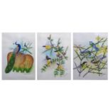 20th century School, three studies various birds painted on silk, initialled D.S.R. and dated