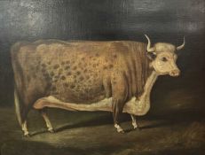 In the style of John Vine (British, 19th Century) A prized bull, oil on canvas, 27.5x35.5ins.,