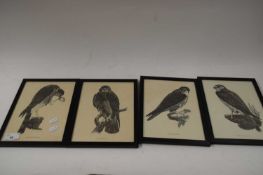 FOUR FRAMED BLACK AND WHITE PRINTS - BIRDS OF PREY