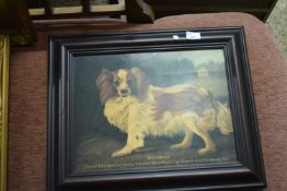 CONTEMPORARY COLOURED PRINT OF A SPANIEL ENTITLED 'NOLLEKENS', FRAMED