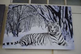 COLOURED PRINT ON CANVAS - TIGER IN SNOW