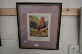 PRINT OF CHICKENS, BROWN LEGHORNS