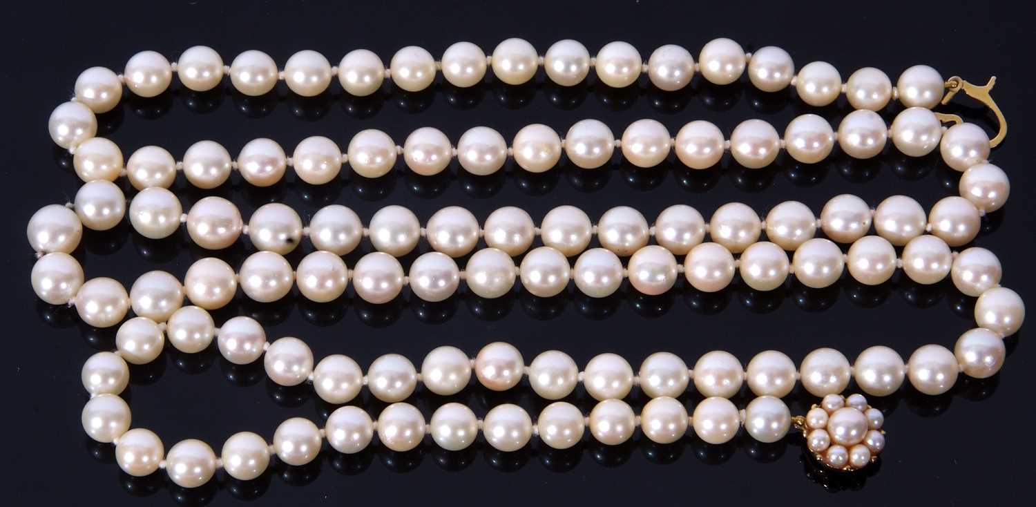 Cultured pearl necklace, a single row of uniformed beads, 7.56mm approx each to a 9ct gold cluster - Image 2 of 2