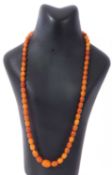 Single row of graduated amber beads of various tones, butterscotch and cognac, bead diam 3-10mm,