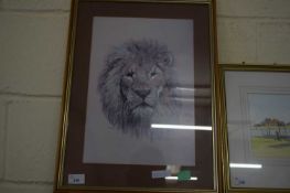 COLOURED PRINT OF A MALE LION, F/G