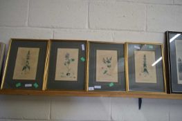 FOUR FRAMED BOTANICAL PRINTS