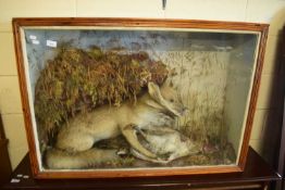 TAXIDERMY DISPLAY OF A FOX EATING A CHICKEN, 105CM WIDE