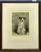 British School, 20th Century engraving of a sitting dog observing a wasp, indistinctly signed and