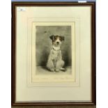 British School, 20th Century engraving of a sitting dog observing a wasp, indistinctly signed and