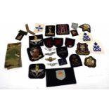 Quantity of 20th century British insignia to include Naval and Parachute Regt blazer insignia etc