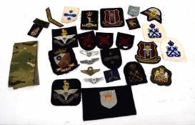 Quantity of 20th century British insignia to include Naval and Parachute Regt blazer insignia etc