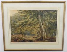 British, 20th century, An England glade with red deer in the distance, watercolour, unsigned, 17 x