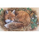 Neil Cox (British, contemporary) A reclining fox, gouache and watercolour, signed, framed and